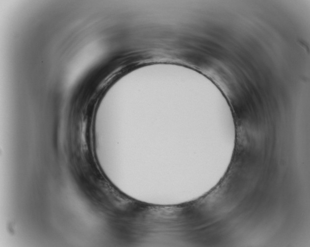 X0000096201150200801181025
