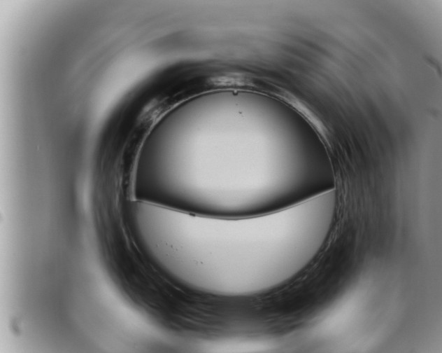 X0000096201151200801181025
