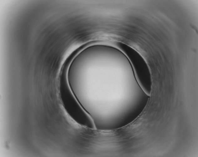X0000096201152200801181025