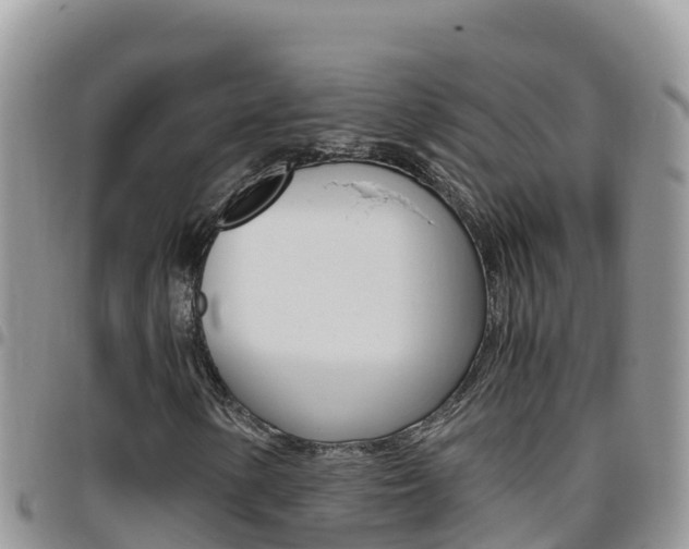 X0000096201154200801181025