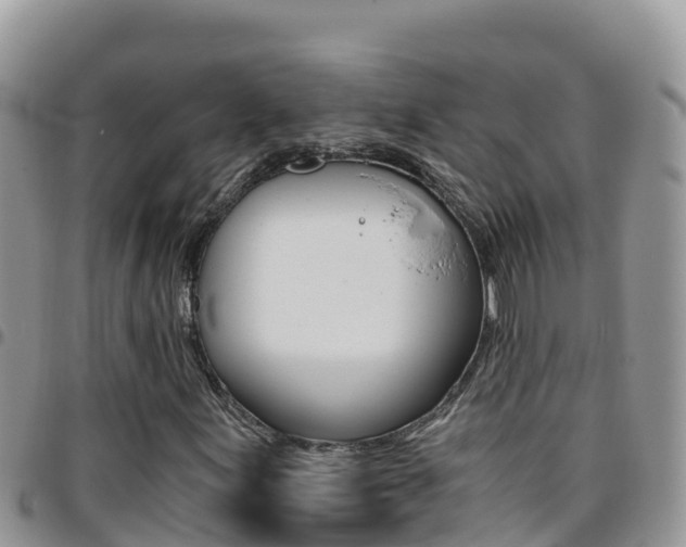 X0000096201155200801181025