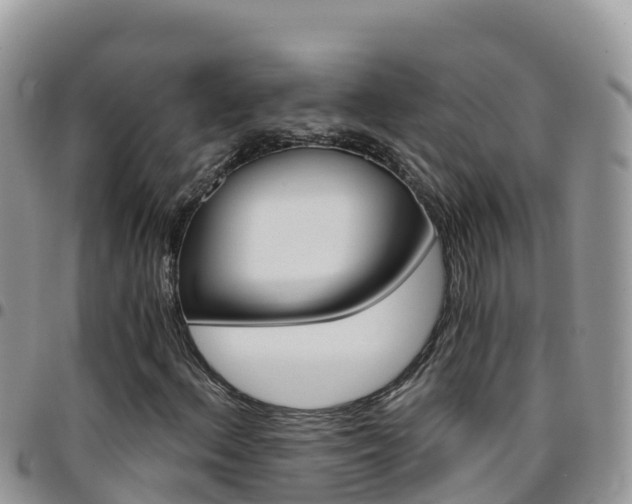 X0000096201156200801181025