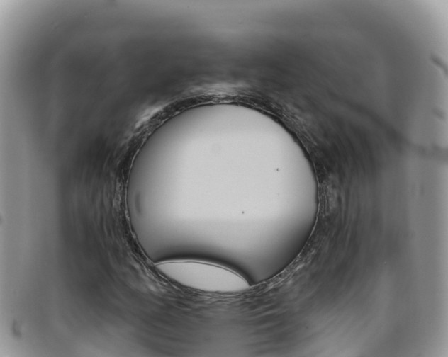 X0000096201158200801181025