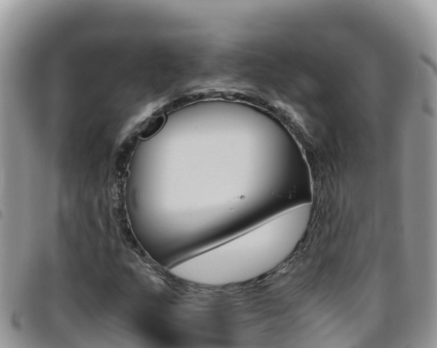 X0000096201159200801181025