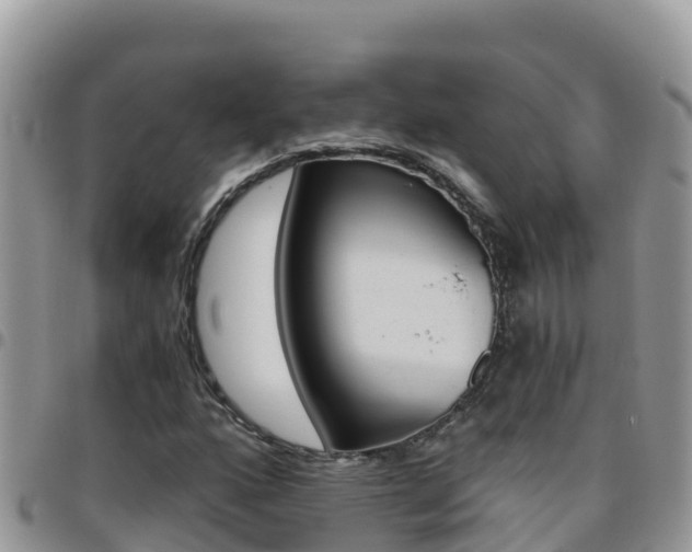 X0000096201160200801181025