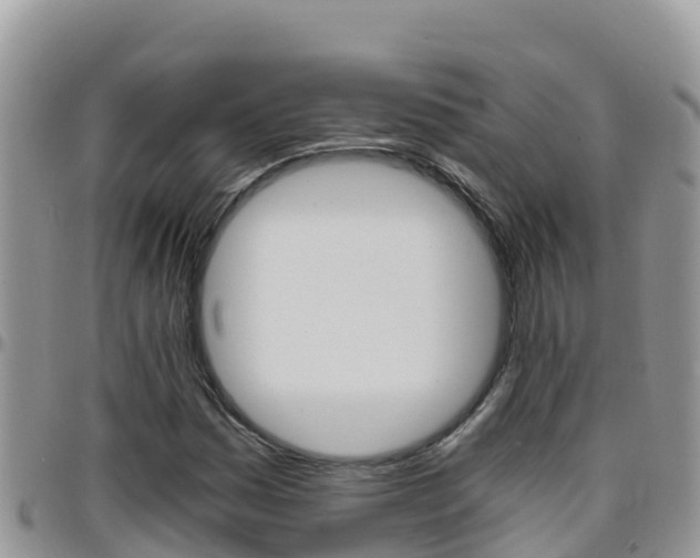 X0000096201161200801181025