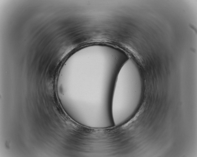 X0000096201162200801181025