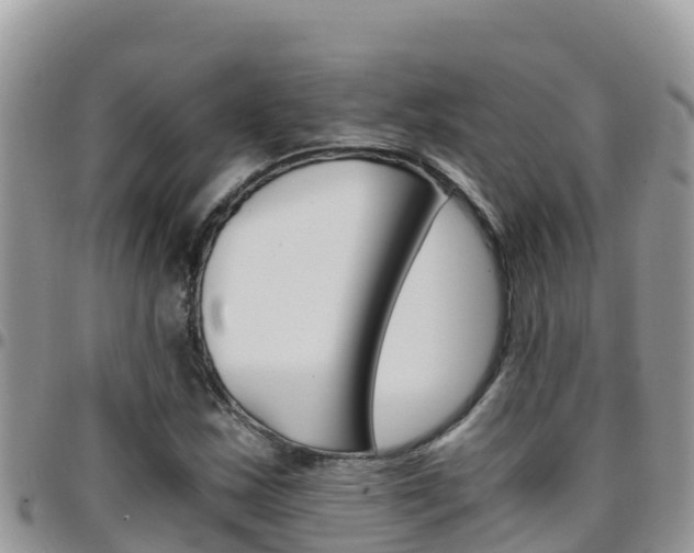 X0000096201163200801181024