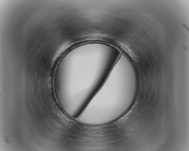 X0000096201164200801181024