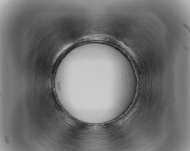 X0000096201166200801181024