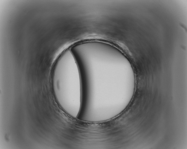 X0000096201167200801181024