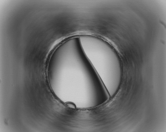X0000096201168200801181024