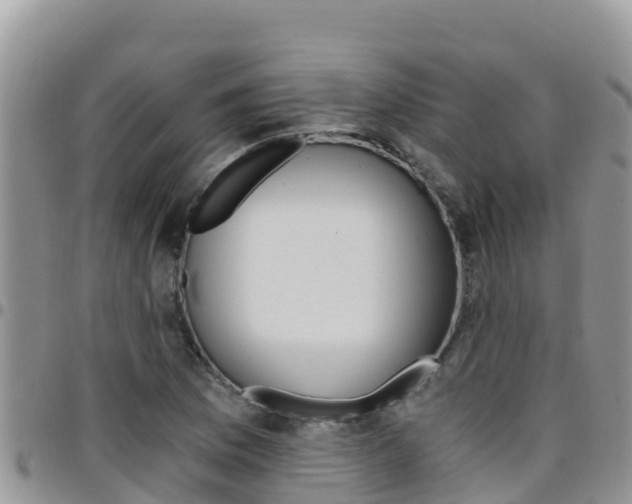 X0000096201169200801181024