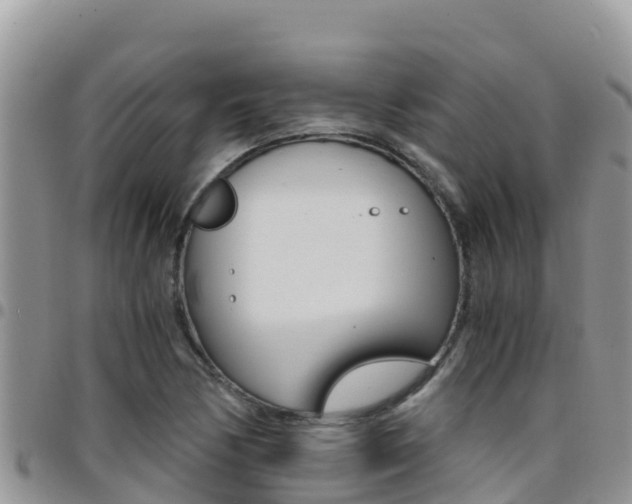 X0000096201170200801181024