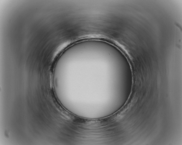 X0000096201171200801181024