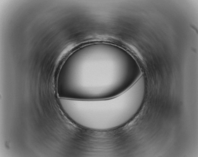 X0000096201172200801181024