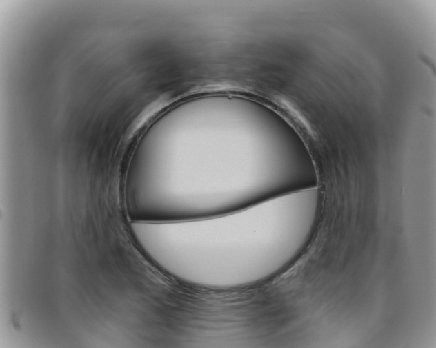 X0000096201173200801181024