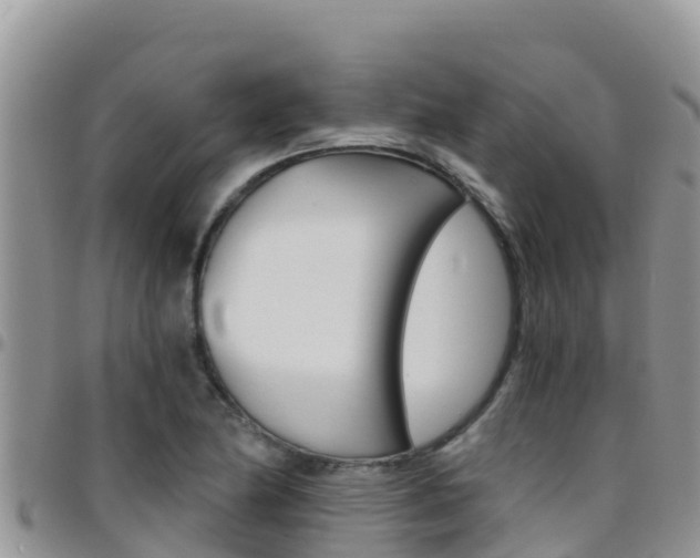 X0000096201174200801181024