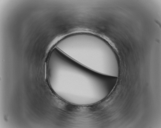 X0000096201175200801181024