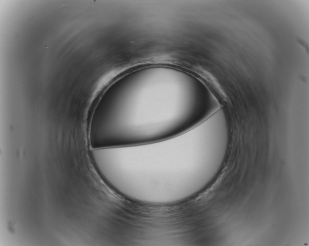 X0000096201176200801181024