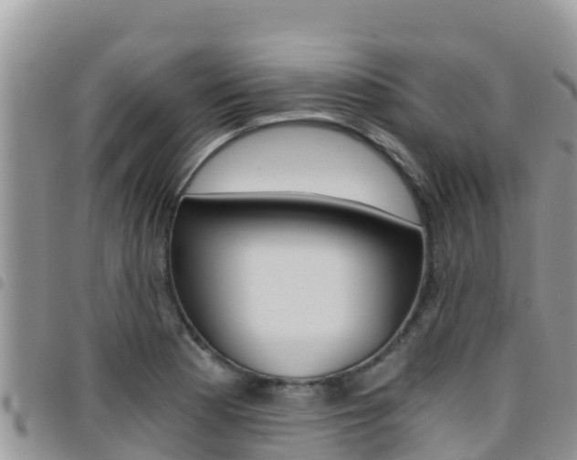 X0000096201177200801181024