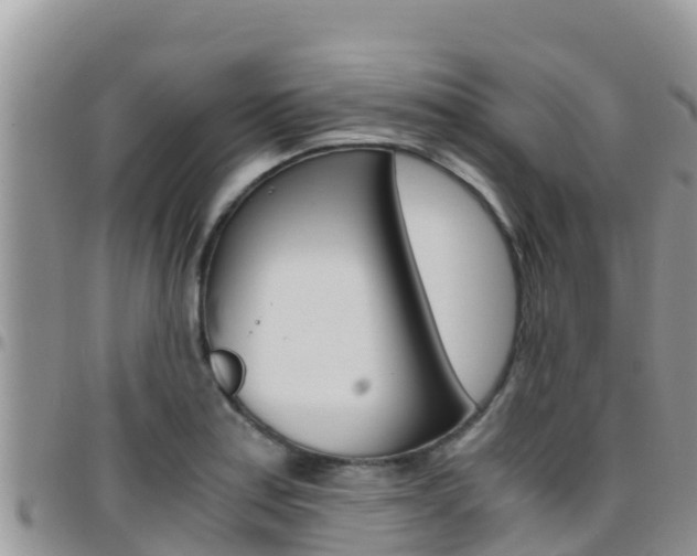 X0000096201179200801181024
