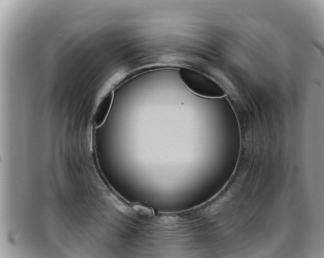 X0000096201180200801181024