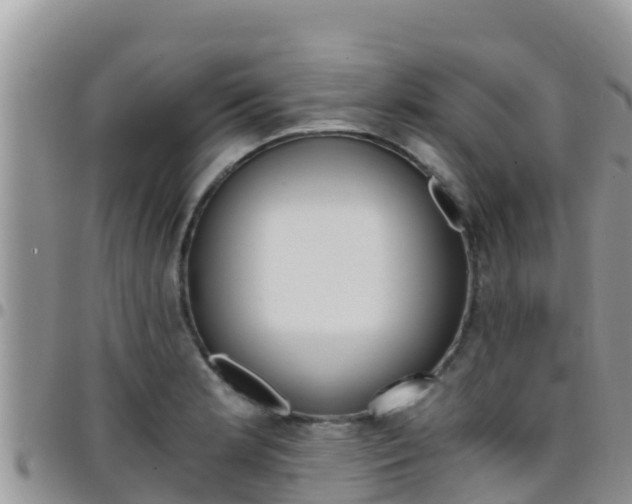 X0000096201181200801181024