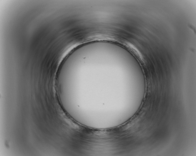 X0000096201182200801181024