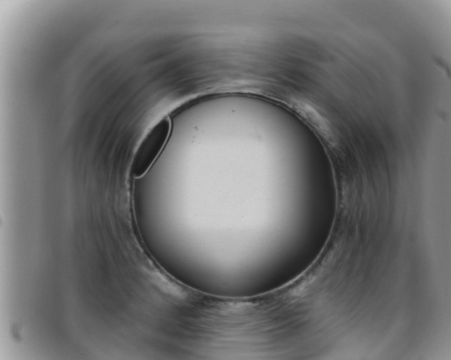 X0000096201184200801181024