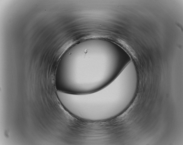 X0000096201185200801181024