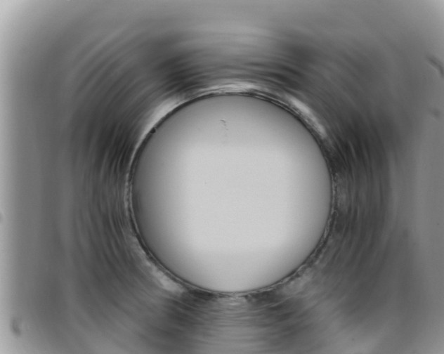 X0000096201186200801181024