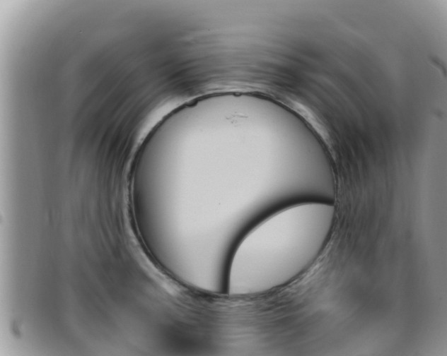 X0000096201187200801181024