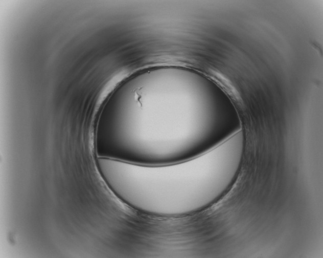 X0000096201188200801181024