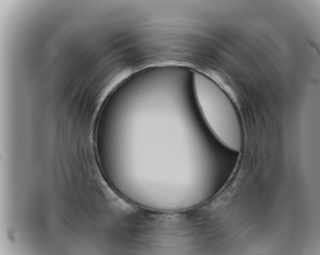 X0000096201189200801181024
