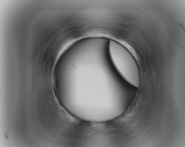 X0000096201191200801181024