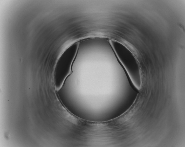 X0000096201192200801181024
