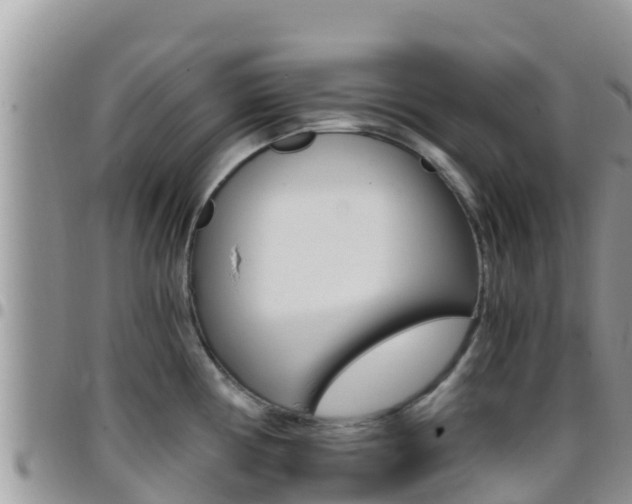 X0000096201194200801181024