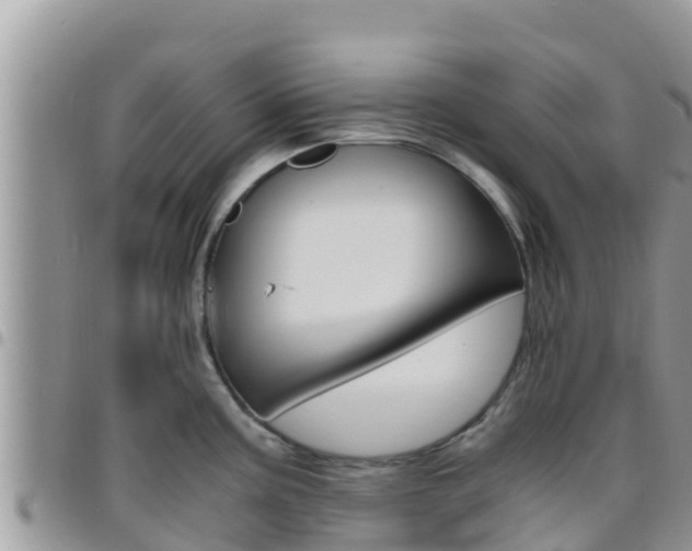 X0000096201195200801181024