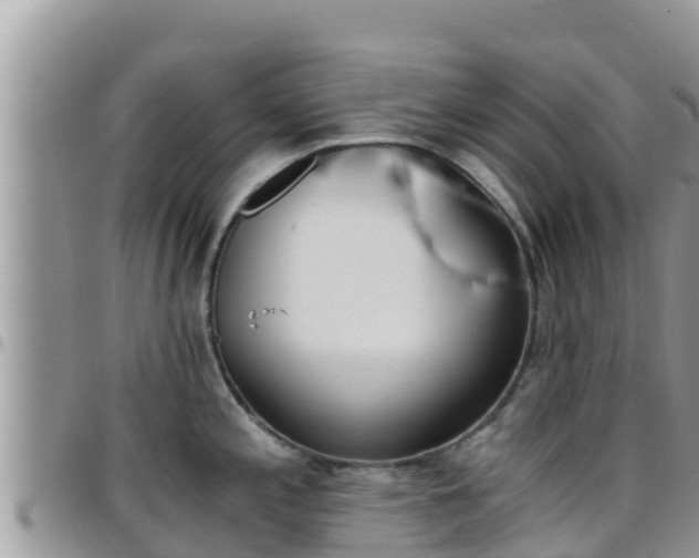 X0000096201197200801181024