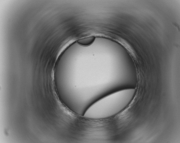 X0000096201198200801181024