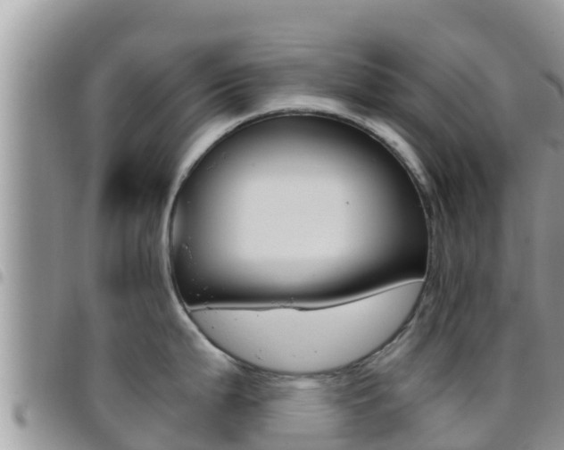 X0000096201199200801181024