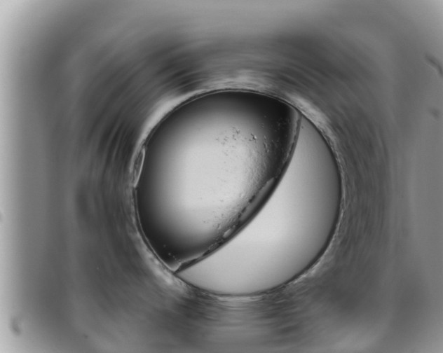 X0000096201200200801181024