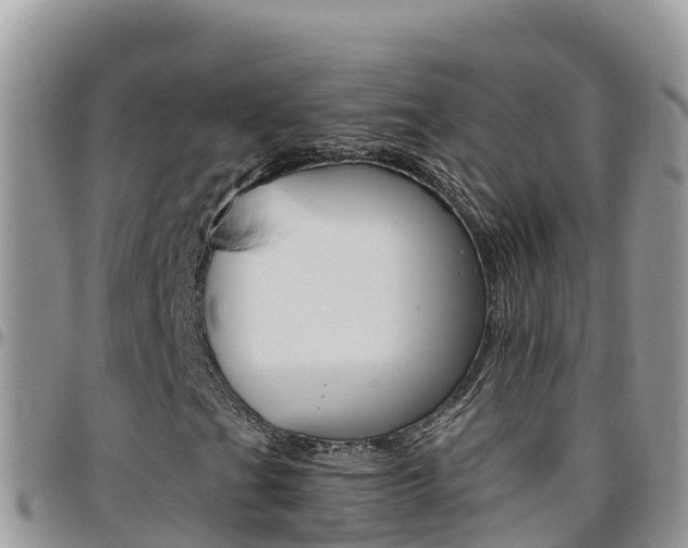 X0000096201201200801181023