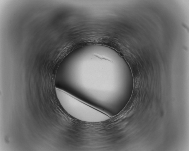 X0000096201202200801181023