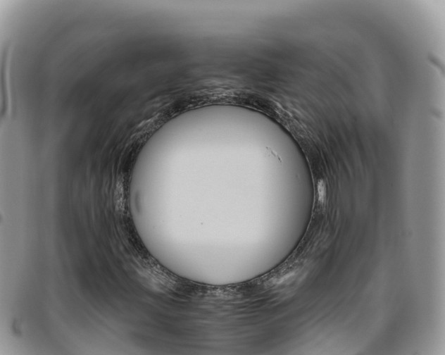 X0000096201203200801181023