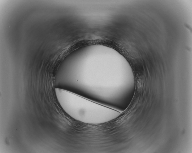 X0000096201204200801181023