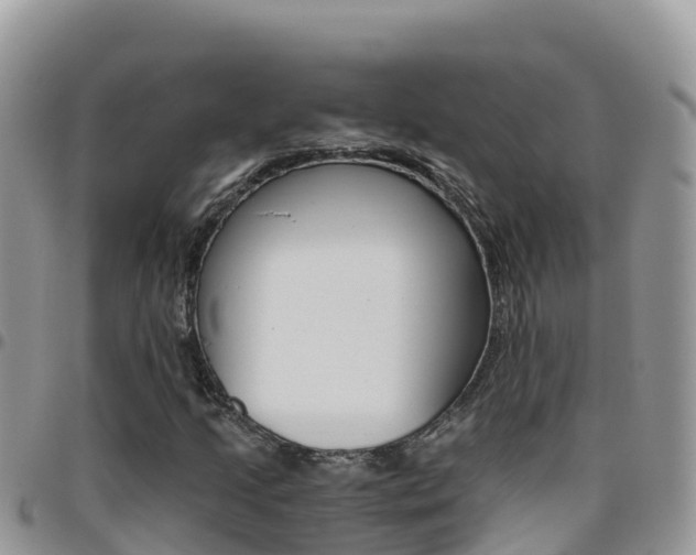 X0000096201205200801181023