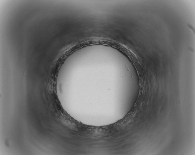 X0000096201207200801181023