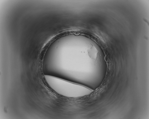 X0000096201208200801181023